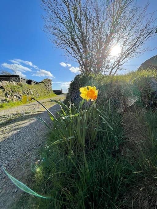 The Hut@Trefechan Wen - Coastal Coziness! Villa Goodwick Exterior photo