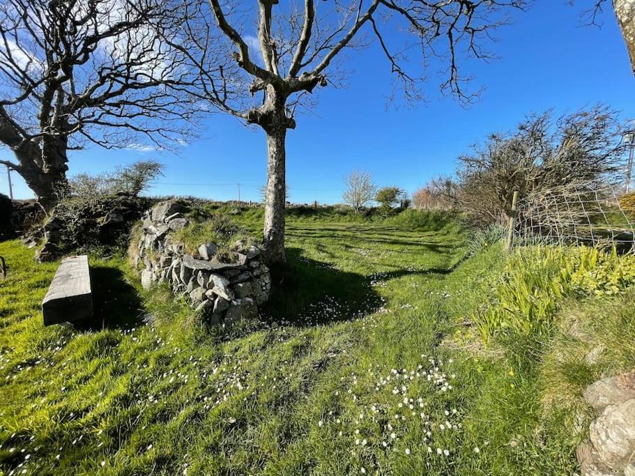 The Hut@Trefechan Wen - Coastal Coziness! Villa Goodwick Exterior photo